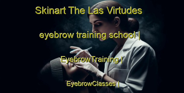 Skinart The Las Virtudes eyebrow training school | EyebrowTraining | EyebrowClasses | SkinartTraining-Spain